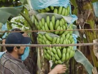 Camino Del Rio Belize - Property in the Caribbean