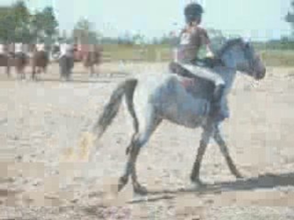 Nitro reprise 20 septembre