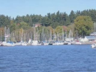 Voilier - Black Rose