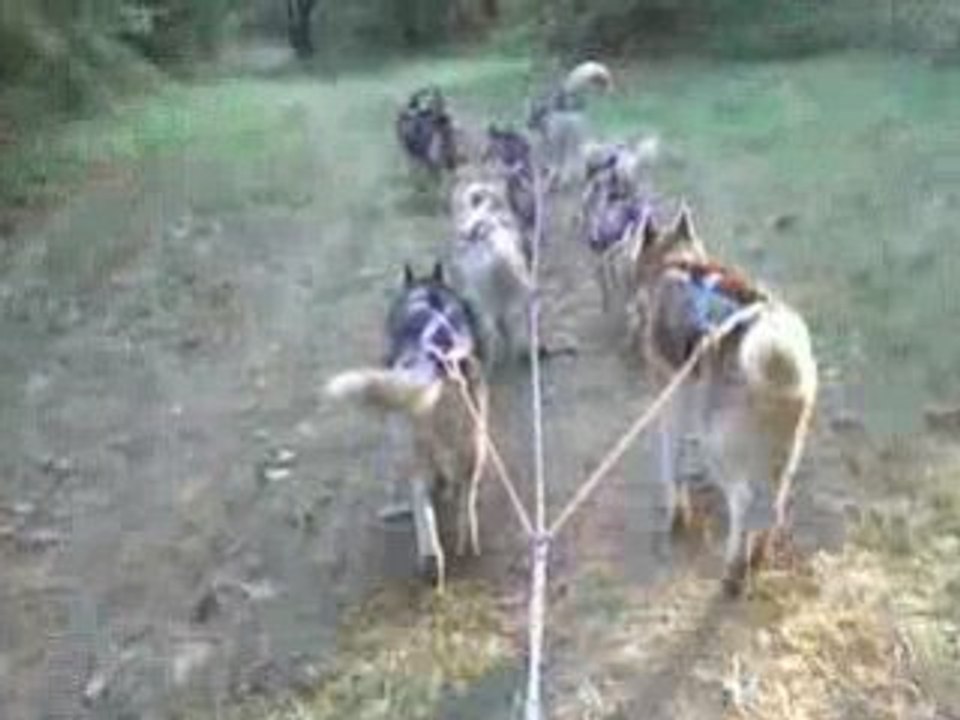 1er entraînement saison 2008 2009