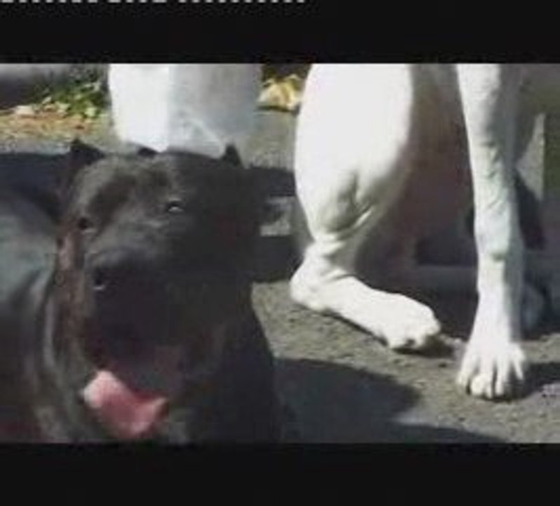 2 doigts Noir   Blanc