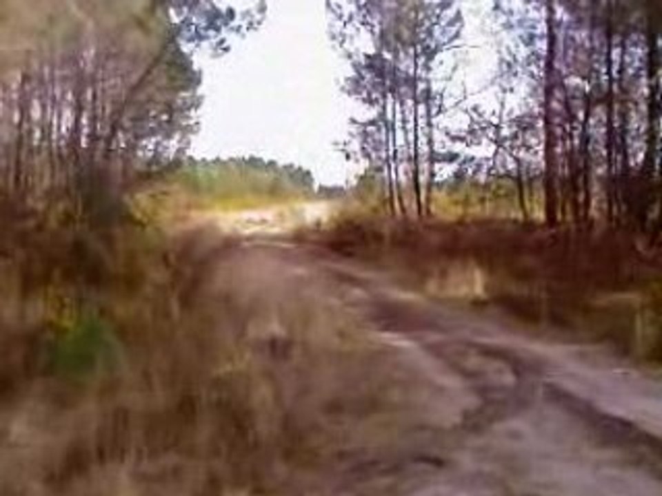 Sesion 125 KTM