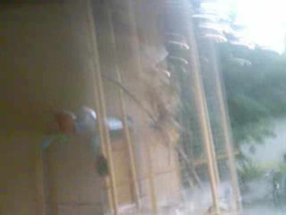 Vidéo029