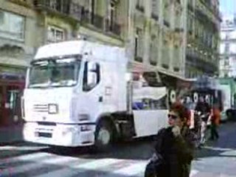 techno parade 2008 11