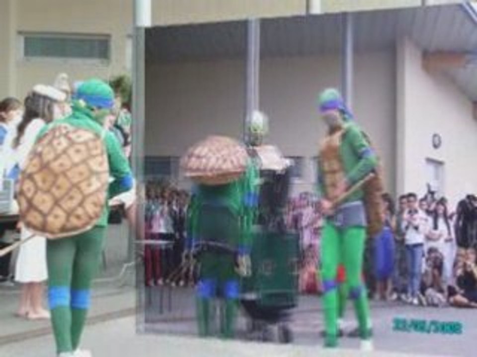 Tortues ninja