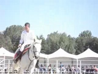 Christophe Chaussy et ses camargues + voltigeurs