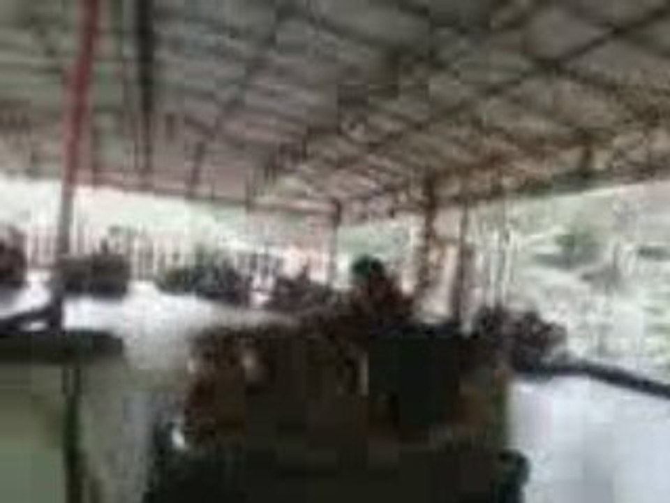 Auto tamponeuse 2