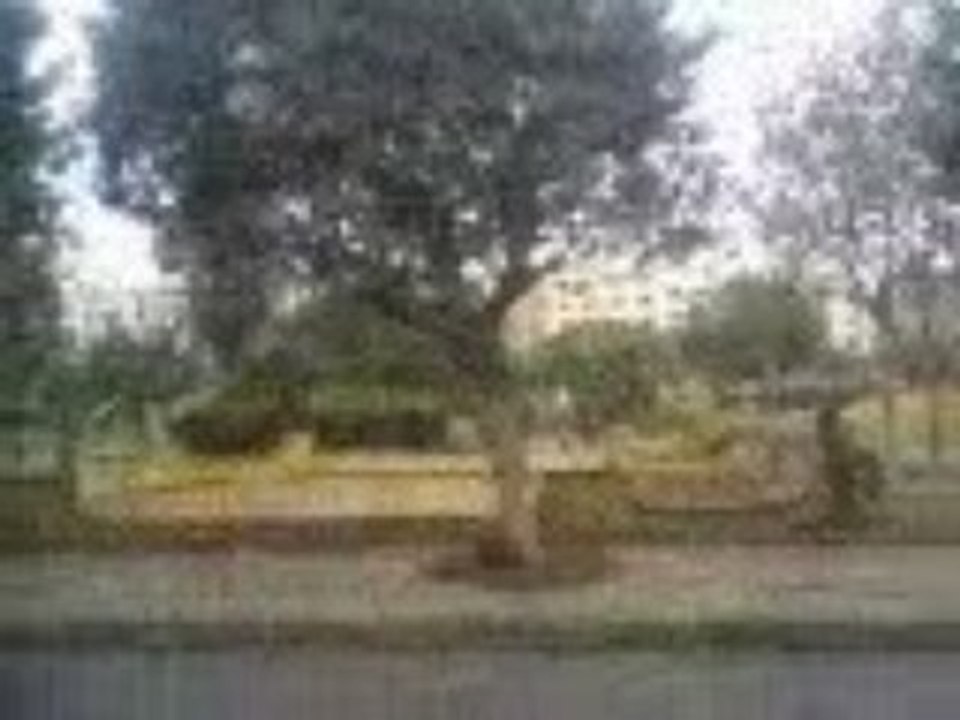 jardin de bostne tré encin