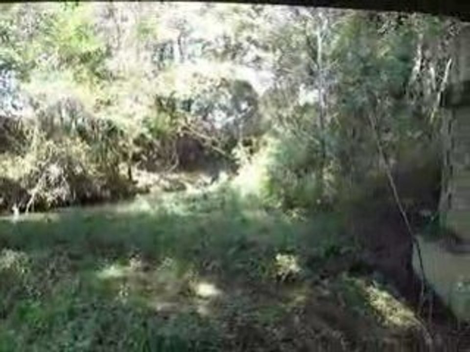 Ollier et sergio..qui jardine!!