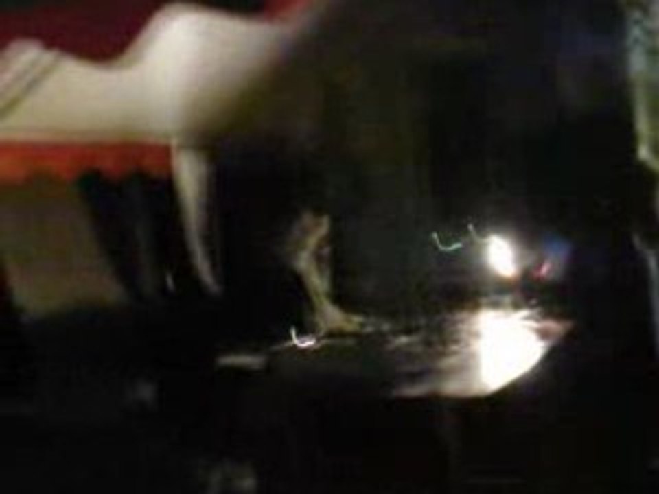 Teuf BZH . 716 Mandragore Arlek1