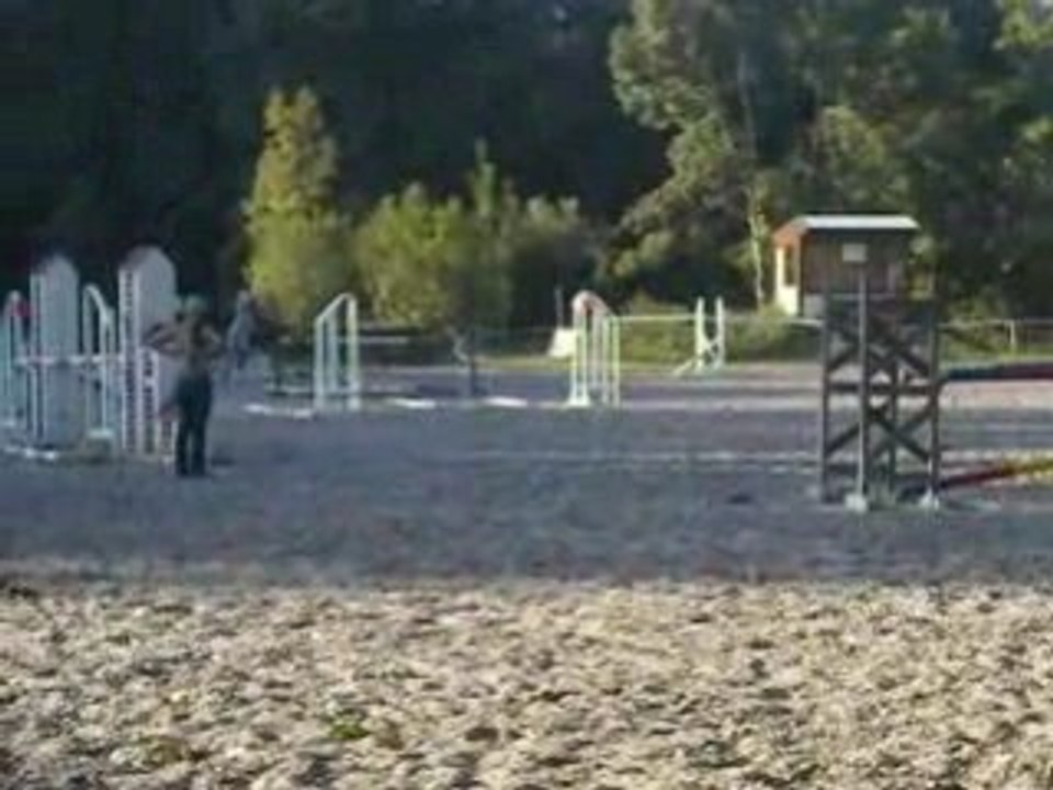 DSCN4912