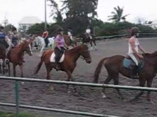 Farandole de clôture