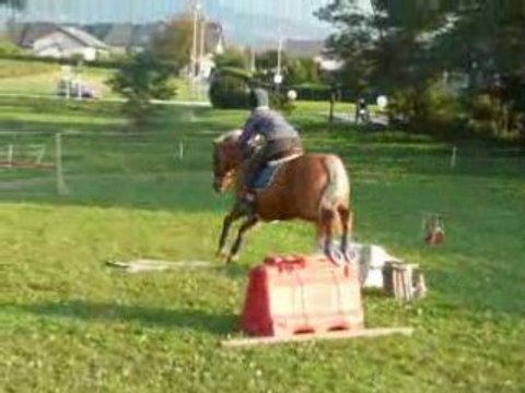 Séance d'obstacle Ignès