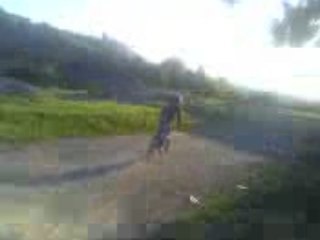 bicross
