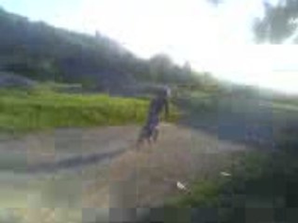 bicross