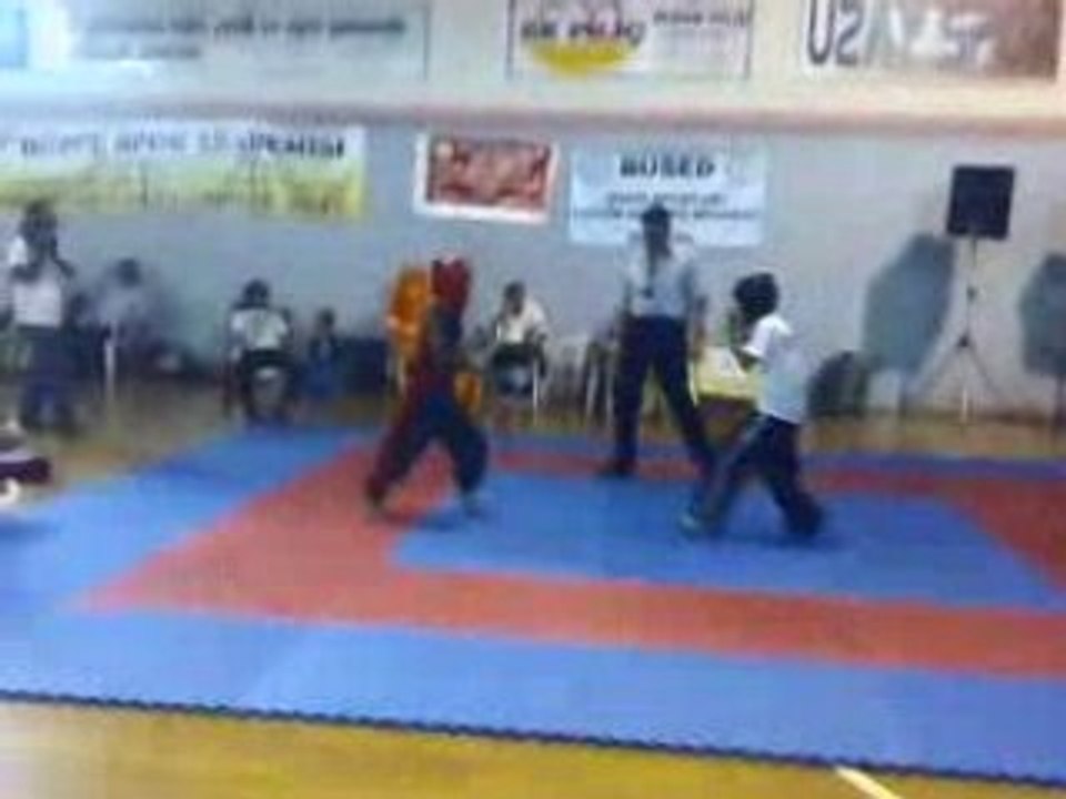 toray karate