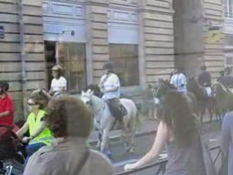 Rennes : chevaux