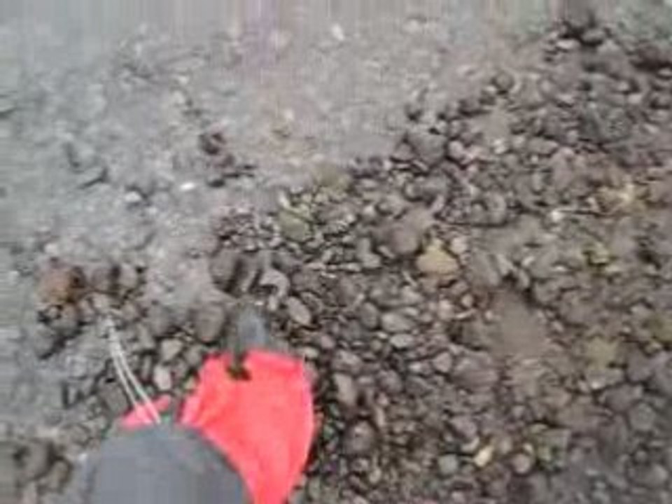 Surbottes rivières Islande Est-Ouest 2008