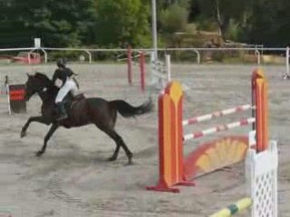 Chpt alsace 08  : Chasse