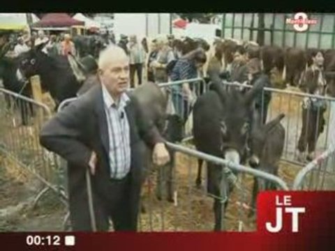 531ème Foire de Crête à Thonon