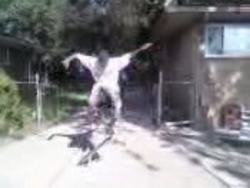 Bryan Skateboarding Page