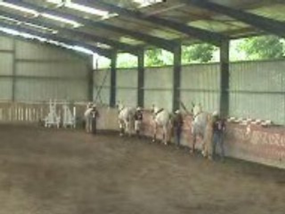 carrousel longues rênes