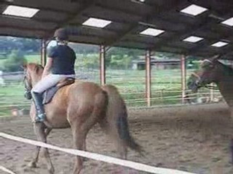 Carrousel Fête du cheval 21 septembre 2oo8