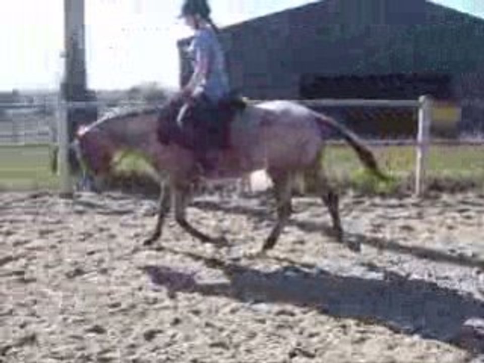 20 septembre 2008 video 2