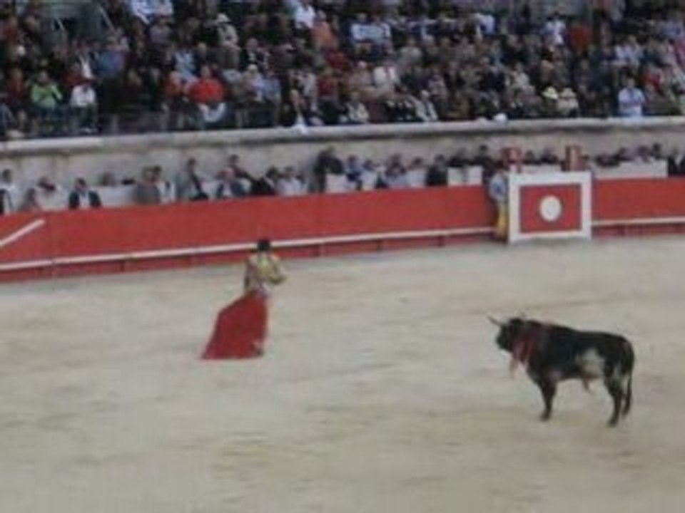 Feria des Vendanges 2008