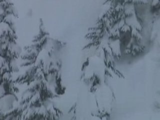 Graham; Placer Tree Skiing
