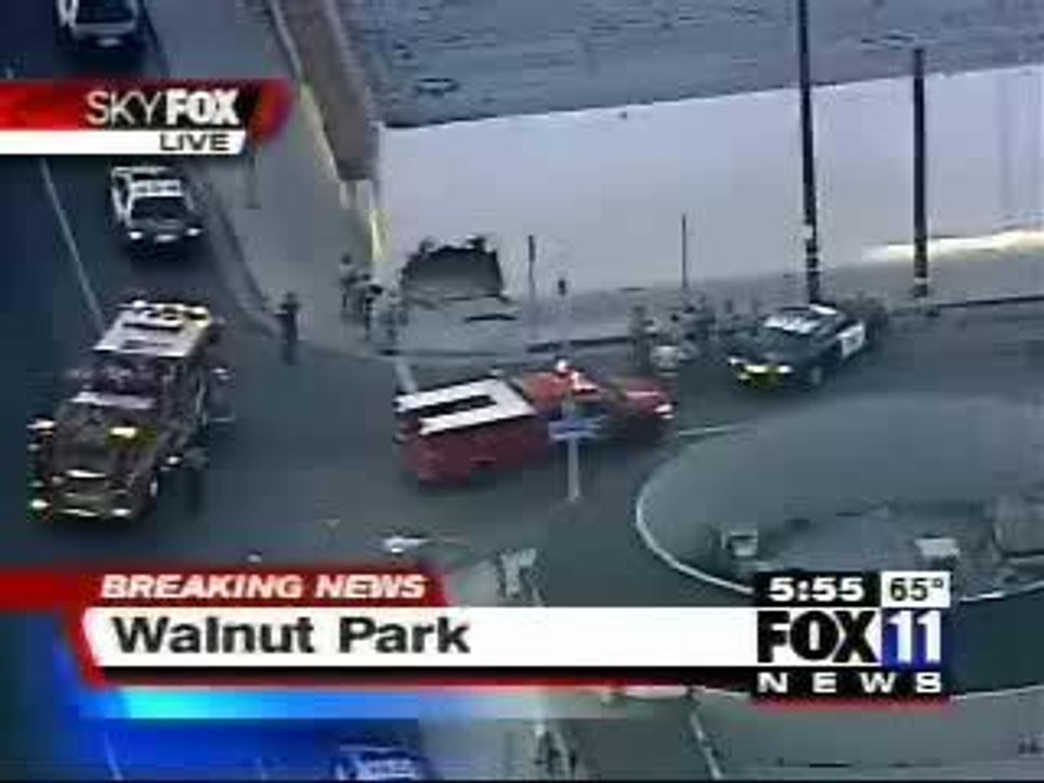 Cop crash