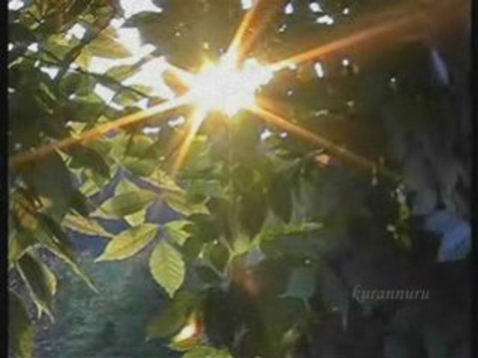 A. Kuşkaya N.F.K. Süleymaniye-Kaldırımlar-Serseri