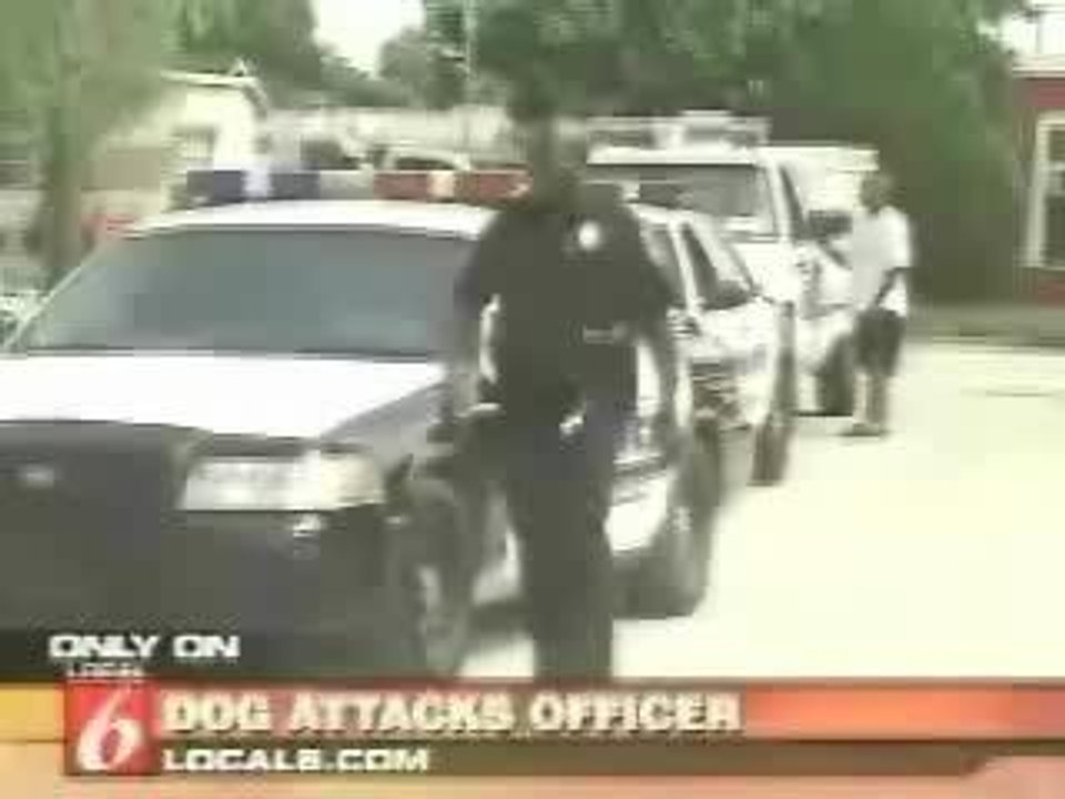 Dog Attack