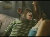 Affen können sprechen