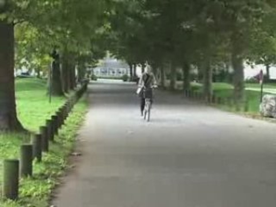 Quatre moyens de se déplacer écolo