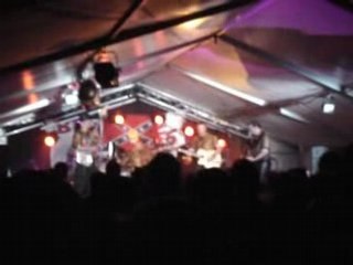 Jungle tigers - nicole 2008