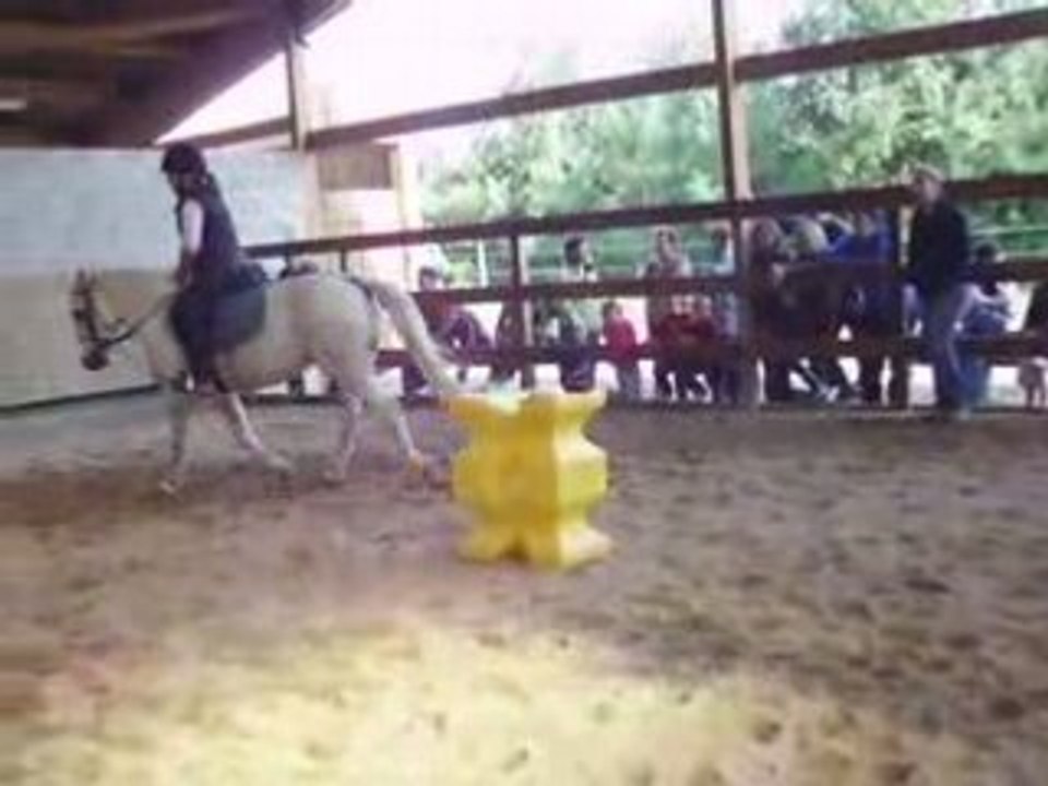 Jeux poneys 3ème manche