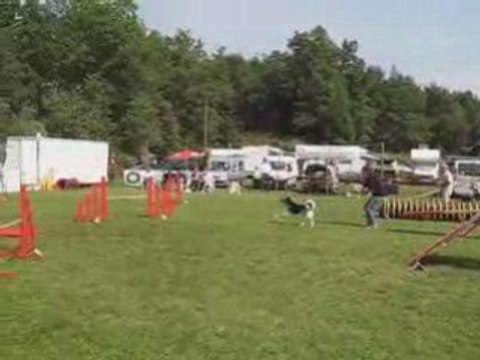 Baika agility Laurac