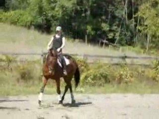 Bibiche en septembre