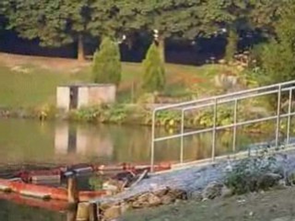 Samedi goofishing aux étangs africana!!