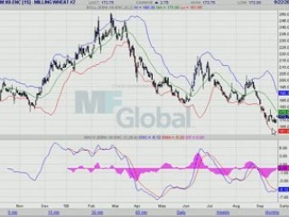 BLE MEUNIER 22.09.08