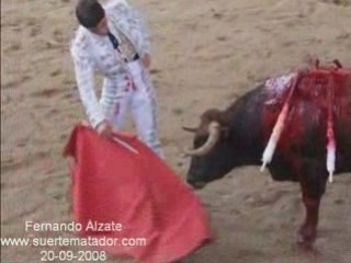 Resumen de La Novillada en Arroyo 20-09-2008