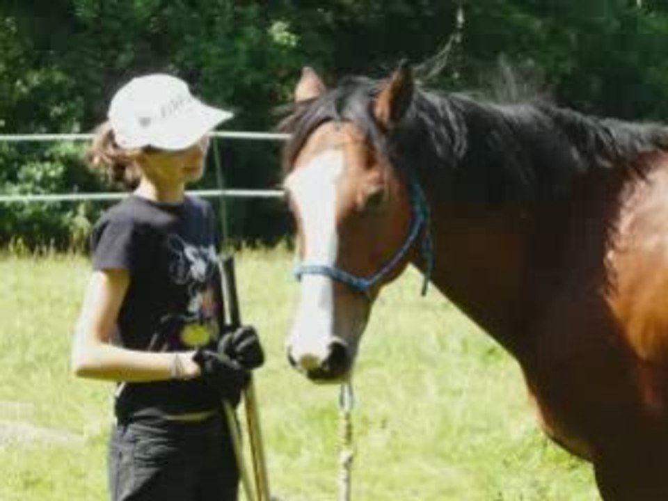 Un mois d'Aout merveilleux avec Flipper !