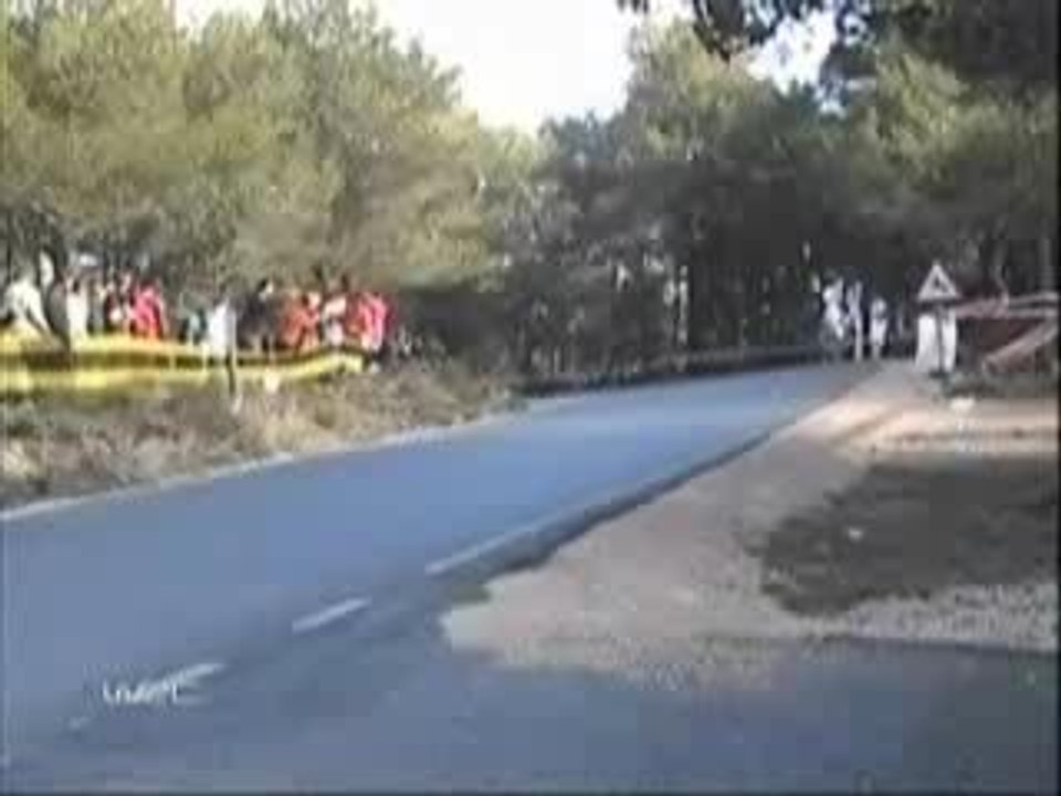 Merci l'arbre