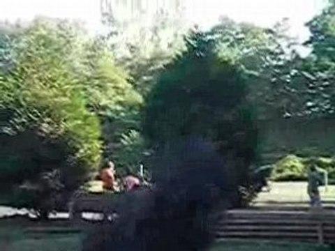 CCE La Courneuve Partie 1