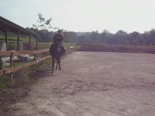 Fete du cheval 08 la clochetiere reprise célia