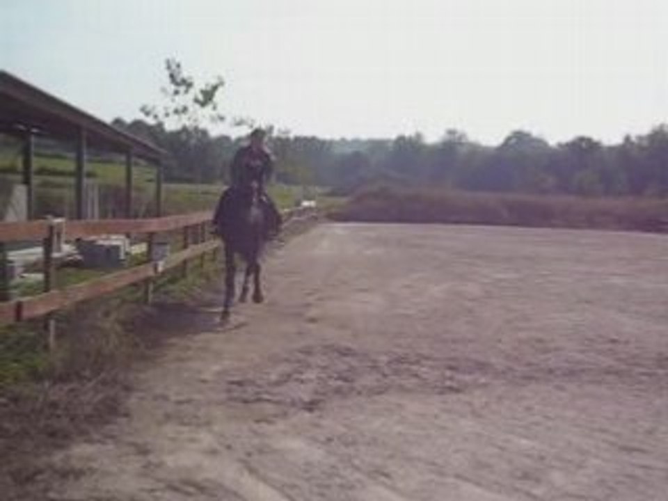 Fete du cheval 08 la clochetiere reprise célia