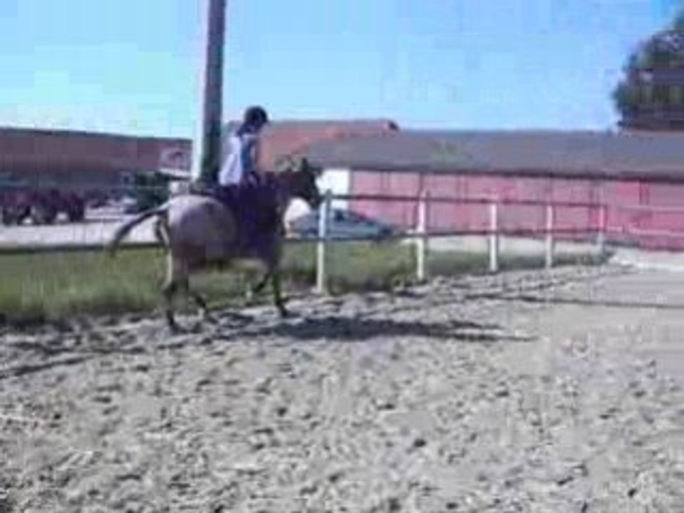 20 septembre 2008 video 6