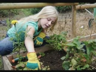 Raphaël Reviron : pour des Eco-Toilettes !