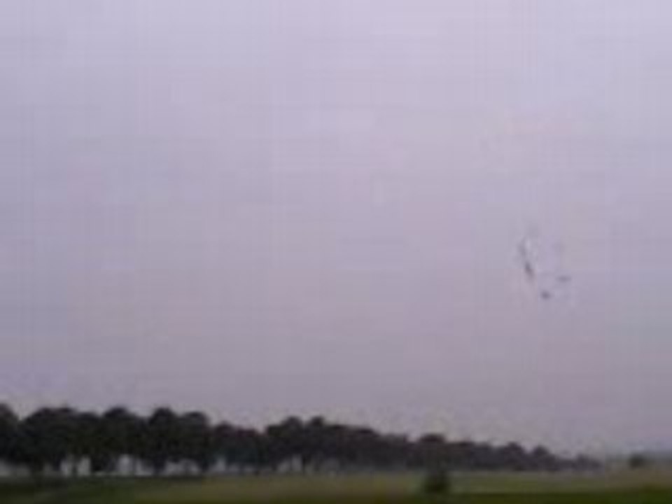 Mes pigeons à l'entrainement.